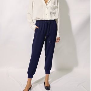 Aritzia Buffon Wilfred Free Jogger Pant black szL